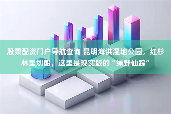 股票配资门户导航查询 昆明海洪湿地公园，红杉林里划船，这里是现实版的“绿野仙踪”