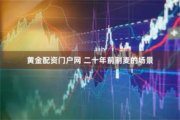 黄金配资门户网 二十年前割麦的场景